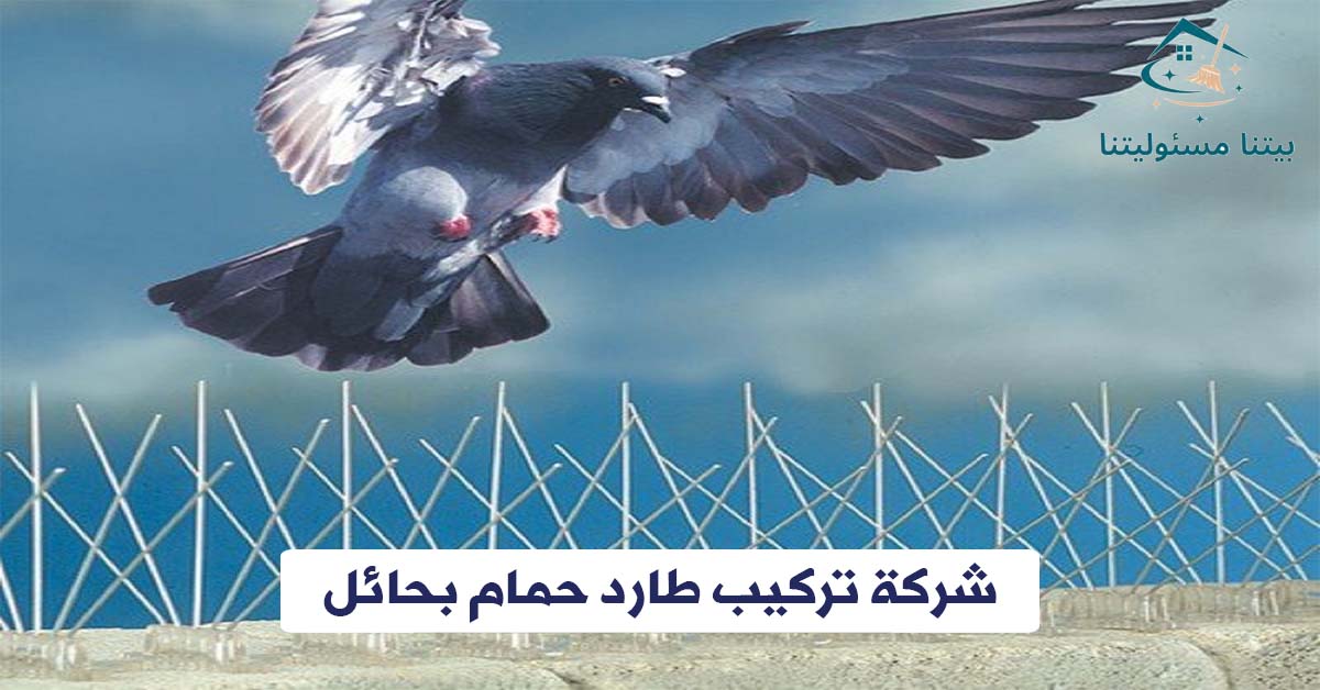 شركة تركيب طارد حمام بحائل